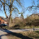 Zentrumsnahes Wohnen In Der Alten Schule Am