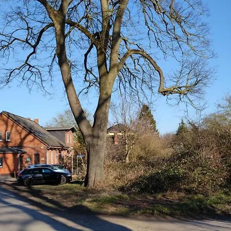 Zentrumsnahes Wohnen In Der Alten Schule Am 公寓