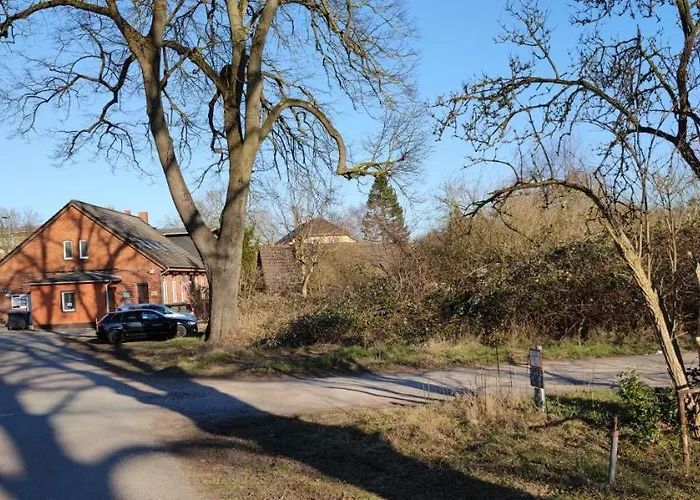 Zentrumsnahes Wohnen In Der Alten Schule Am